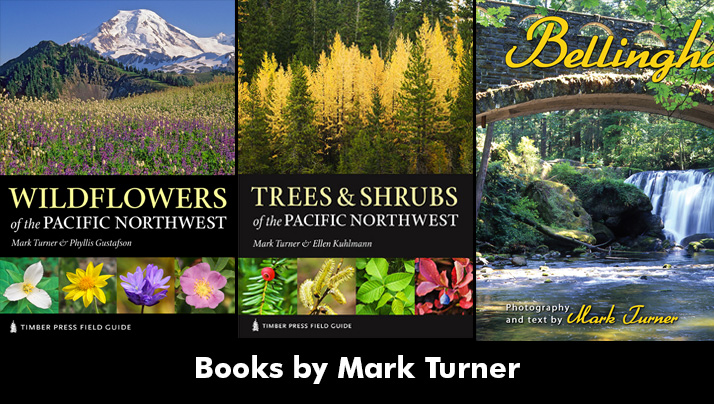 Books by Mark Turner Books by Mark Turner