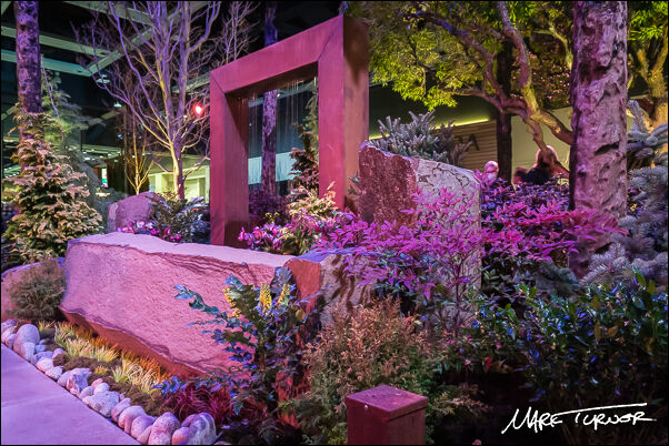 Afterglow display garden by Redwood Builders LLC, Landscaping and Bonsai Northwest, NW Flower & Garden Festival, Seattle, WA. © 2023 Mark Turner