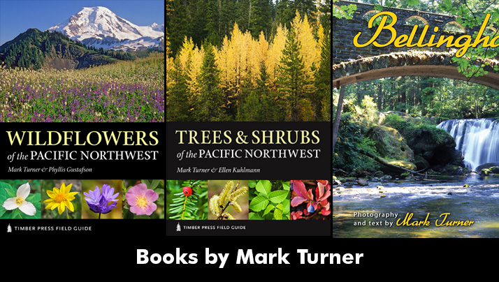 Books by Mark Turner